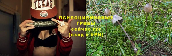 дурь Алексеевка