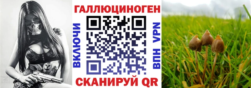 Галлюциногенные грибы MAGIC MUSHROOMS Пермь